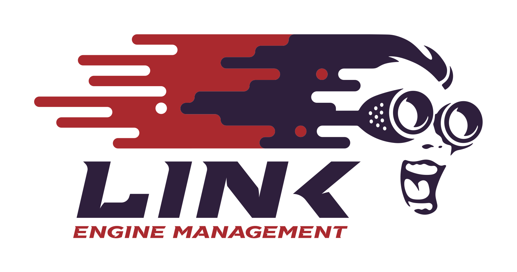 LINK ENGINE MANAGEMENT